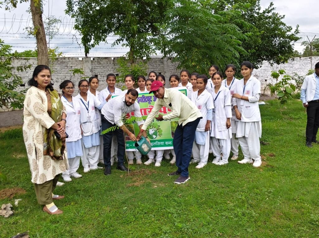 Tree Plantation Drive