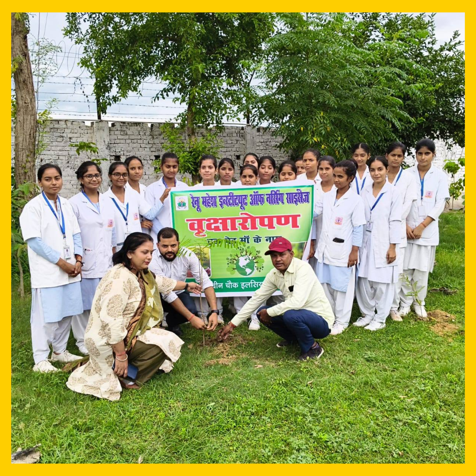 Tree Plantation Drive
